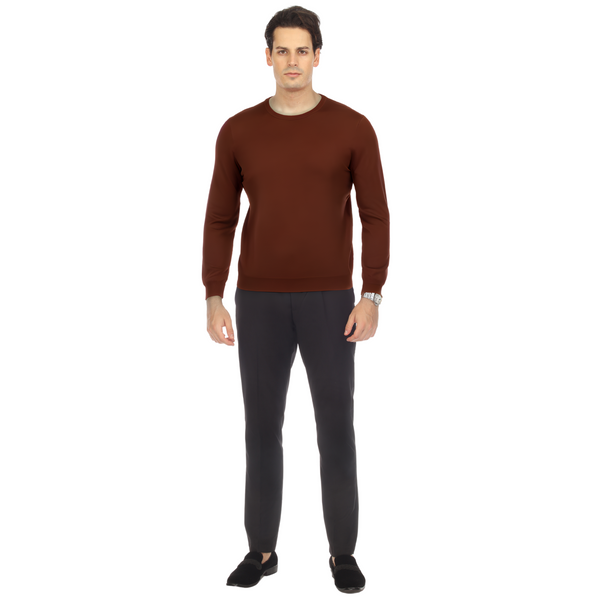 Sam Jacobi Men's Pullover Brown Knitted Sweater Crewneck Stylish Knitwear Long Sleeve Casual Slim Fit