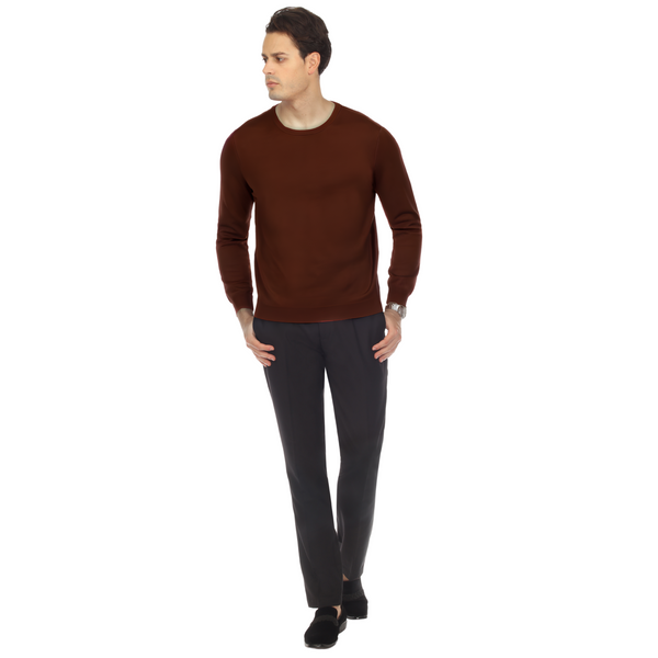 Sam Jacobi Men's Pullover Brown Knitted Sweater Crewneck Stylish Knitwear Long Sleeve Casual Slim Fit