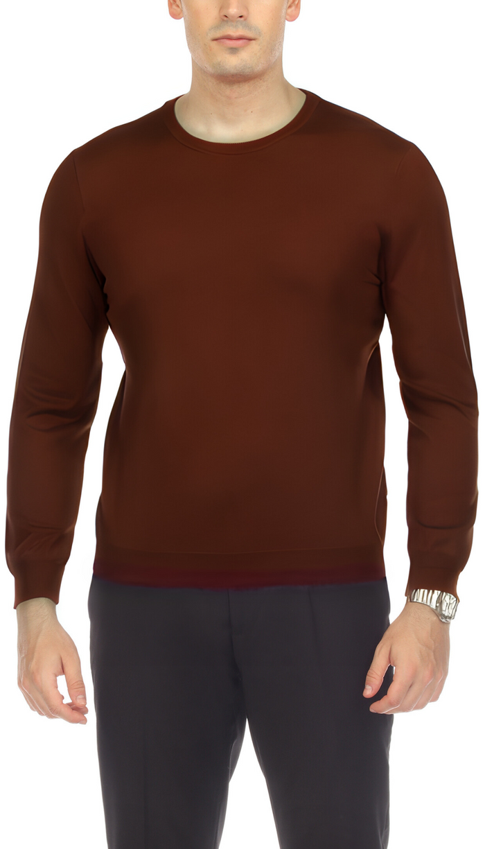 Sam Jacobi Men's Pullover Brown Knitted Sweater Crewneck Stylish Knitwear Long Sleeve Casual Slim Fit