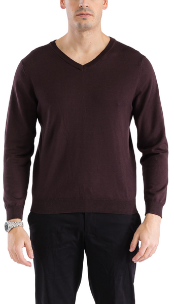 Sam Jacobi Mens Pullover Brown Knitted Sweater V-neck Stylish Knitwear Long Sleeve Casual Slim Fit