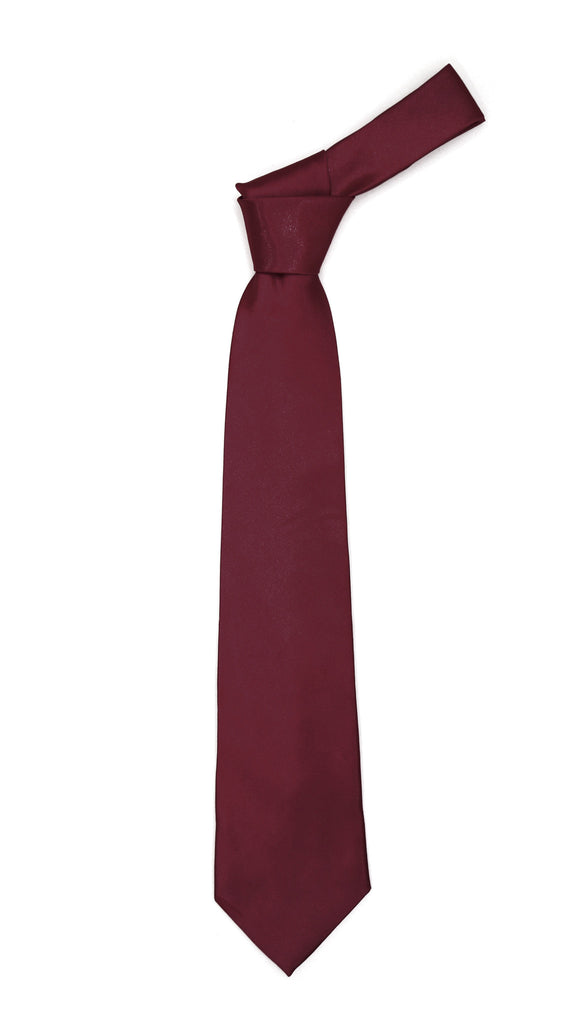 Premium Microfiber Plum Necktie - FHYINC best men